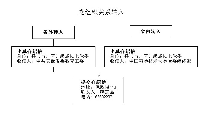 组织关系